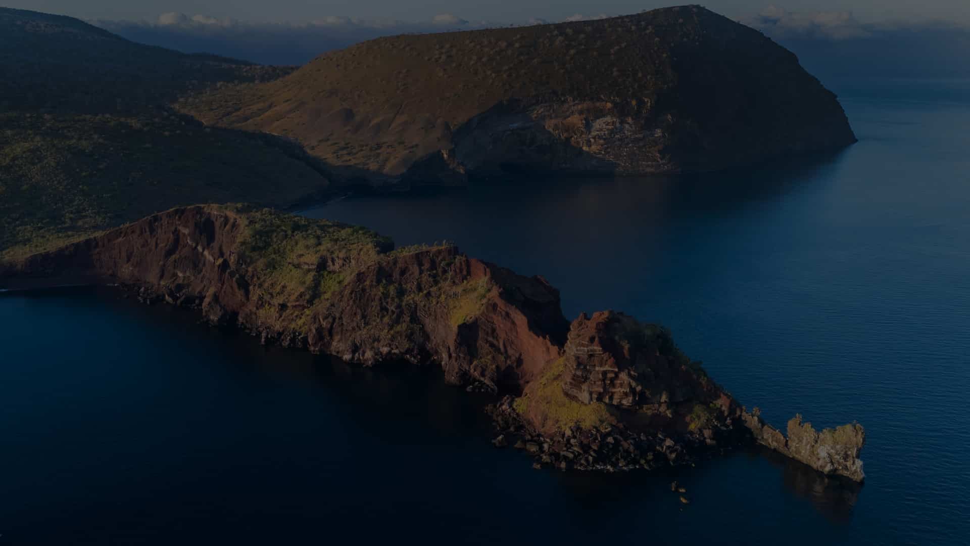 Specialists in Luxury and Distinctive Cruise Experiences / Golden Galapagos Cruises / Award-Winning Luxury Cruise Operator in the Galapagos Islands / Experience the Golden Side: Luxury Sustainable Experiences / We Are Locals: Authentic Galapagos Experience / We Are Women-Led: Crafting Exceptional Luxury Galapagos Tours / Why Golden Galapagos Cruises? / Consult Our Cruise / Our Take on Galapagos / Leading the Way to Sustainability: Carbon-Neutral Galapagos Cruises / Our Luxury Galapagos Cruise Fleet / Golden Immersions / Galapagos In Depth / Galapagos in a Glimpse / Our Lodge in Amazonia