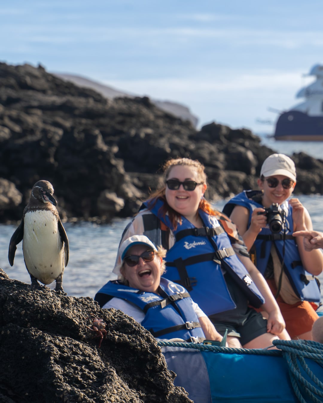 Specialists in Luxury and Distinctive Cruise Experiences / Golden Galapagos Cruises / Award-Winning Luxury Cruise Operator in the Galapagos Islands / Experience the Golden Side: Luxury Sustainable Experiences / We Are Locals: Authentic Galapagos Experience / We Are Women-Led: Crafting Exceptional Luxury Galapagos Tours / Why Golden Galapagos Cruises? / Consult Our Cruise / Our Take on Galapagos / Leading the Way to Sustainability: Carbon-Neutral Galapagos Cruises / Our Luxury Galapagos Cruise Fleet / Golden Immersions / Galapagos In Depth / Galapagos in a Glimpse / Our Lodge in Amazonia
