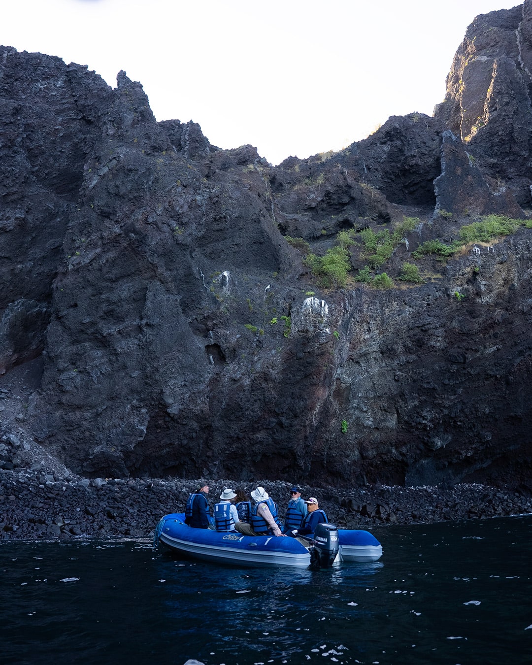 Specialists in Luxury and Distinctive Cruise Experiences / Golden Galapagos Cruises / Award-Winning Luxury Cruise Operator in the Galapagos Islands / Experience the Golden Side: Luxury Sustainable Experiences / We Are Locals: Authentic Galapagos Experience / We Are Women-Led: Crafting Exceptional Luxury Galapagos Tours / Why Golden Galapagos Cruises? / Consult Our Cruise / Our Take on Galapagos / Leading the Way to Sustainability: Carbon-Neutral Galapagos Cruises / Our Luxury Galapagos Cruise Fleet / Golden Immersions / Galapagos In Depth / Galapagos in a Glimpse / Our Lodge in Amazonia