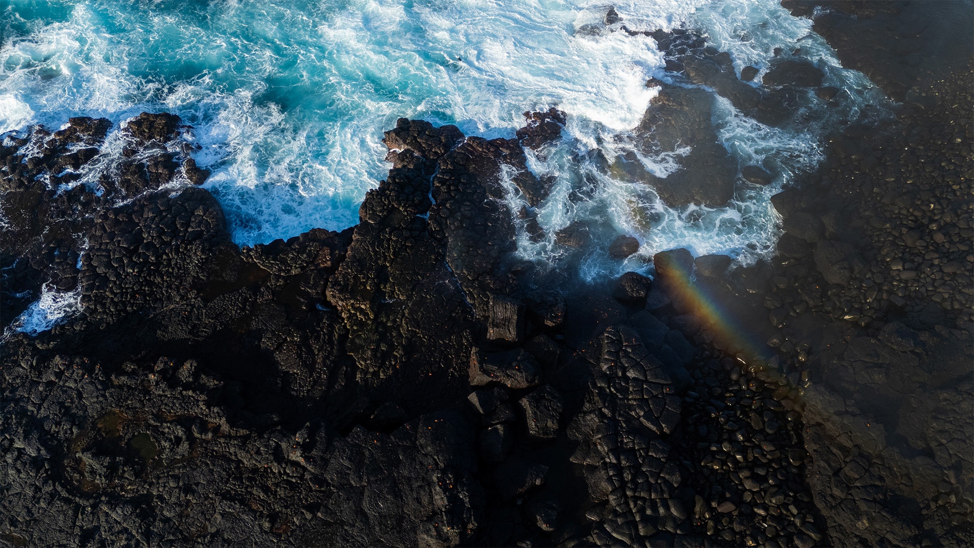 Specialists in Luxury and Distinctive Cruise Experiences / Golden Galapagos Cruises / Award-Winning Luxury Cruise Operator in the Galapagos Islands / Experience the Golden Side: Luxury Sustainable Experiences / We Are Locals: Authentic Galapagos Experience / We Are Women-Led: Crafting Exceptional Luxury Galapagos Tours / Why Golden Galapagos Cruises? / Consult Our Cruise / Our Take on Galapagos / Leading the Way to Sustainability: Carbon-Neutral Galapagos Cruises / Our Luxury Galapagos Cruise Fleet / Golden Immersions / Galapagos In Depth / Galapagos in a Glimpse / Our Lodge in Amazonia