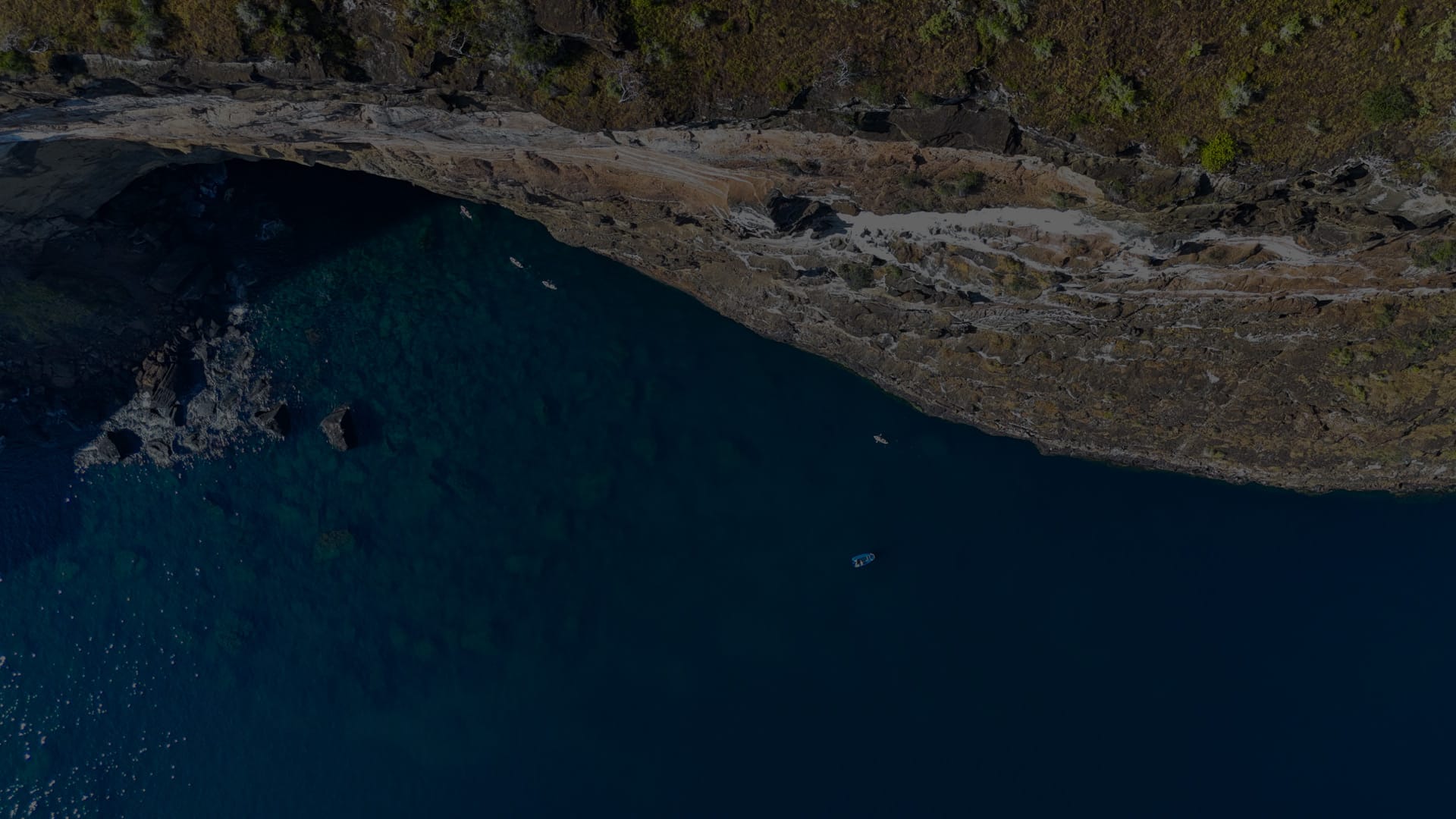 Specialists in Luxury and Distinctive Cruise Experiences / Golden Galapagos Cruises / Award-Winning Luxury Cruise Operator in the Galapagos Islands / Experience the Golden Side: Luxury Sustainable Experiences / We Are Locals: Authentic Galapagos Experience / We Are Women-Led: Crafting Exceptional Luxury Galapagos Tours / Why Golden Galapagos Cruises? / Consult Our Cruise / Our Take on Galapagos / Leading the Way to Sustainability: Carbon-Neutral Galapagos Cruises / Our Luxury Galapagos Cruise Fleet / Golden Immersions / Galapagos In Depth / Galapagos in a Glimpse / Our Lodge in Amazonia