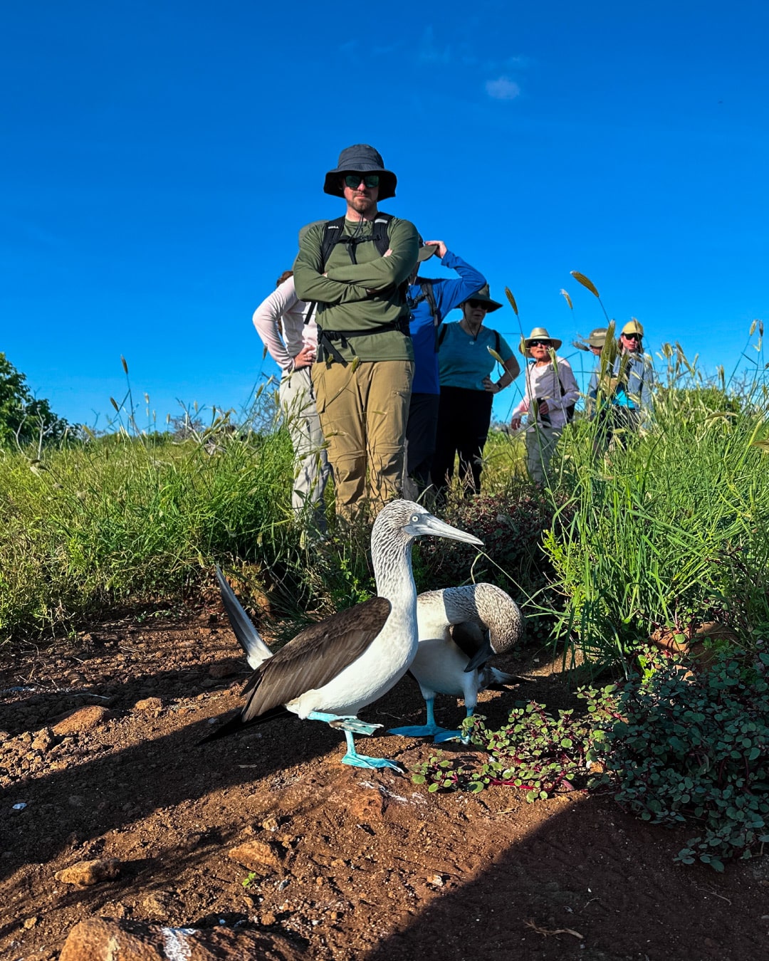 Specialists in Luxury and Distinctive Cruise Experiences / Golden Galapagos Cruises / Award-Winning Luxury Cruise Operator in the Galapagos Islands / Experience the Golden Side: Luxury Sustainable Experiences / We Are Locals: Authentic Galapagos Experience / We Are Women-Led: Crafting Exceptional Luxury Galapagos Tours / Why Golden Galapagos Cruises? / Consult Our Cruise / Our Take on Galapagos / Leading the Way to Sustainability: Carbon-Neutral Galapagos Cruises / Our Luxury Galapagos Cruise Fleet / Golden Immersions / Galapagos In Depth / Galapagos in a Glimpse / Our Lodge in Amazonia