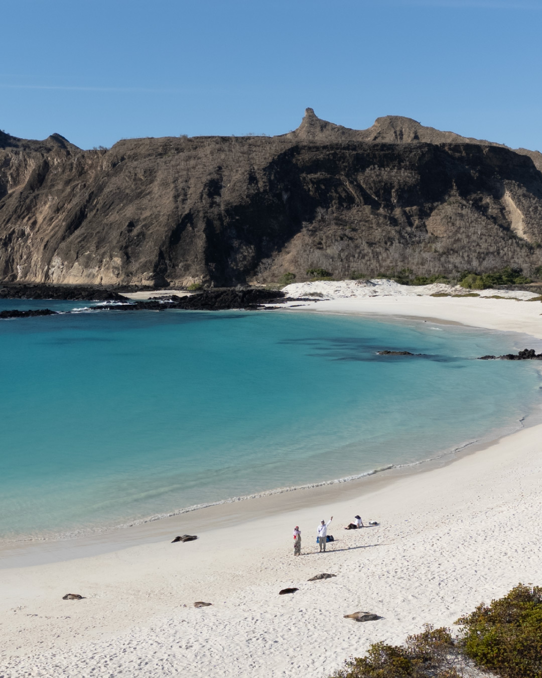 Specialists in Luxury and Distinctive Cruise Experiences / Golden Galapagos Cruises / Award-Winning Luxury Cruise Operator in the Galapagos Islands / Experience the Golden Side: Luxury Sustainable Experiences / We Are Locals: Authentic Galapagos Experience / We Are Women-Led: Crafting Exceptional Luxury Galapagos Tours / Why Golden Galapagos Cruises? / Consult Our Cruise / Our Take on Galapagos / Leading the Way to Sustainability: Carbon-Neutral Galapagos Cruises / Our Luxury Galapagos Cruise Fleet / Golden Immersions / Galapagos In Depth / Galapagos in a Glimpse / Our Lodge in Amazonia