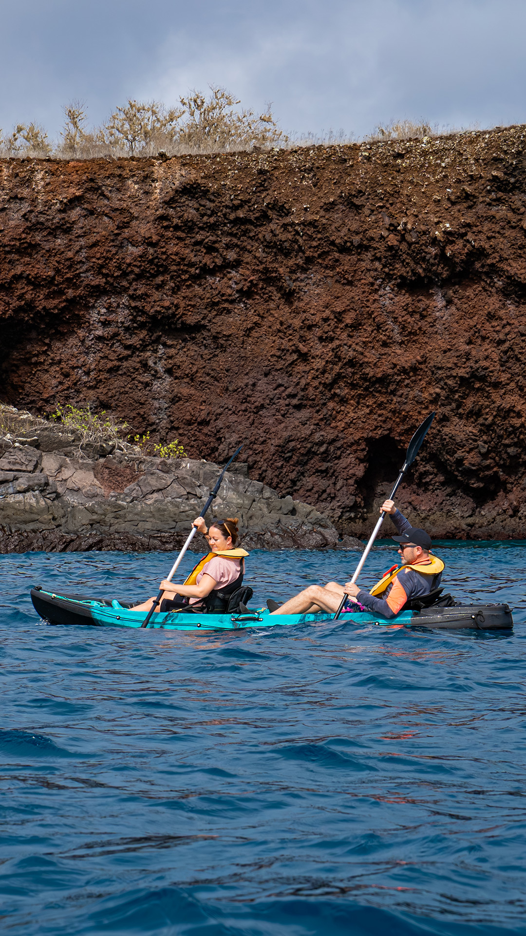 Specialists in Luxury and Distinctive Cruise Experiences / Golden Galapagos Cruises / Award-Winning Luxury Cruise Operator in the Galapagos Islands / Experience the Golden Side: Luxury Sustainable Experiences / We Are Locals: Authentic Galapagos Experience / We Are Women-Led: Crafting Exceptional Luxury Galapagos Tours / Why Golden Galapagos Cruises? / Consult Our Cruise / Our Take on Galapagos / Leading the Way to Sustainability: Carbon-Neutral Galapagos Cruises / Our Luxury Galapagos Cruise Fleet / Golden Immersions / Galapagos In Depth / Galapagos in a Glimpse / Our Lodge in Amazonia