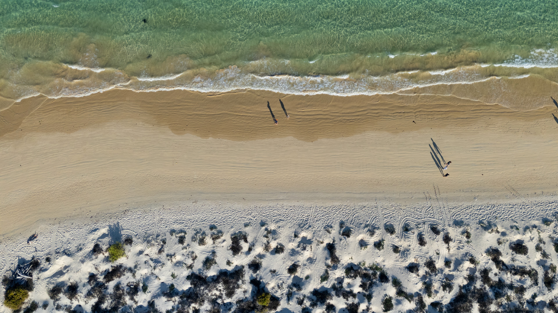 Specialists in Luxury and Distinctive Cruise Experiences / Golden Galapagos Cruises / Award-Winning Luxury Cruise Operator in the Galapagos Islands / Experience the Golden Side: Luxury Sustainable Experiences / We Are Locals: Authentic Galapagos Experience / We Are Women-Led: Crafting Exceptional Luxury Galapagos Tours / Why Golden Galapagos Cruises? / Consult Our Cruise / Our Take on Galapagos / Leading the Way to Sustainability: Carbon-Neutral Galapagos Cruises / Our Luxury Galapagos Cruise Fleet / Golden Immersions / Galapagos In Depth / Galapagos in a Glimpse / Our Lodge in Amazonia