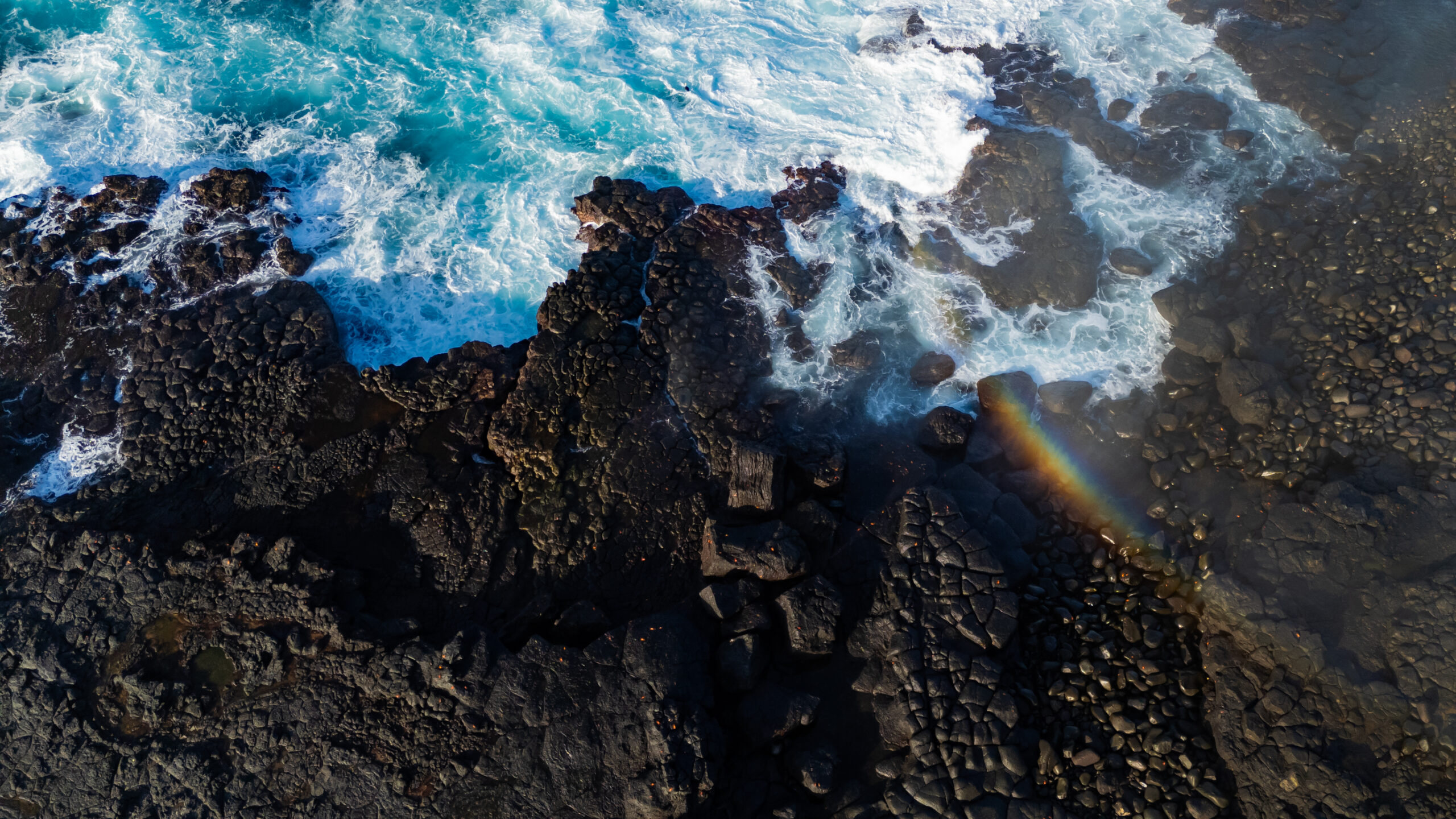 Galápagos 3