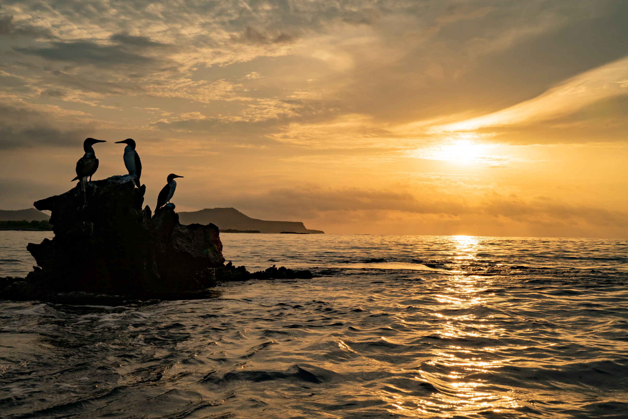 Galápagos 5