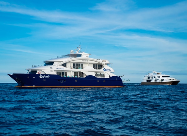 SUSTAINABLE LUXURY GALAPAGOS TOURS -Galapagos Islands Eco-Friendly Cruises - Golden Galapagos Cruises