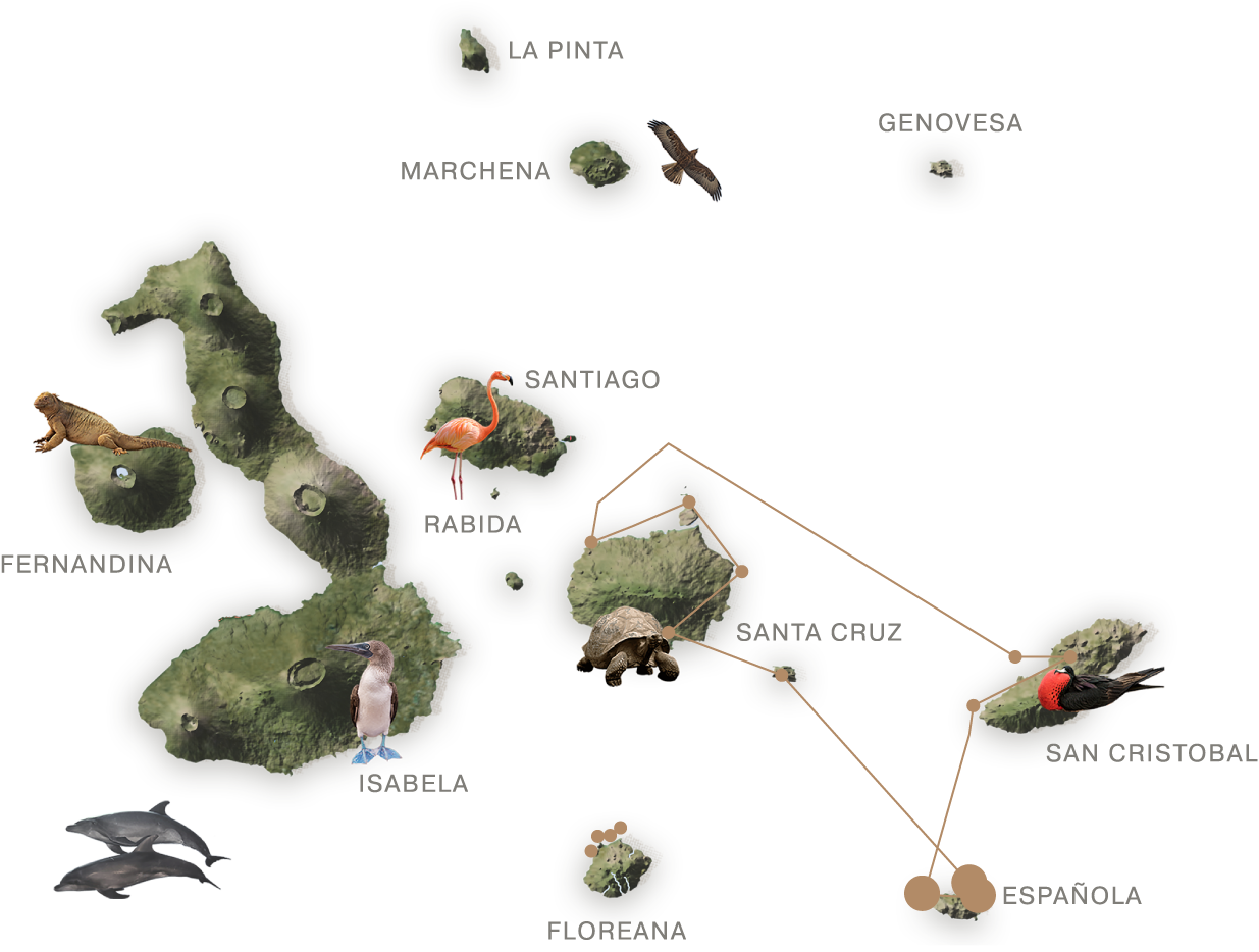 endemic luxury yacht - Golden Galapagos