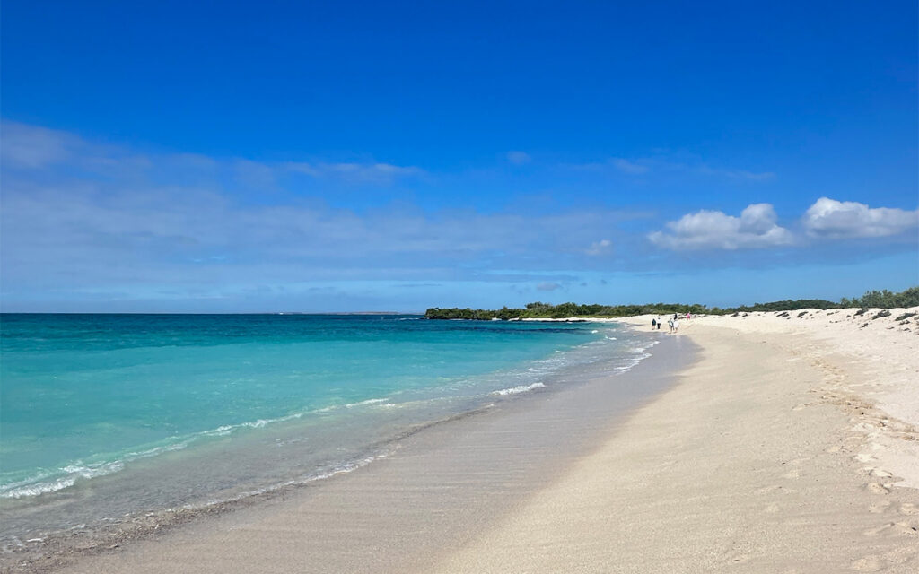 Garden Bay - Signature Luxury Cruise - Golden Galapagos Cruises
