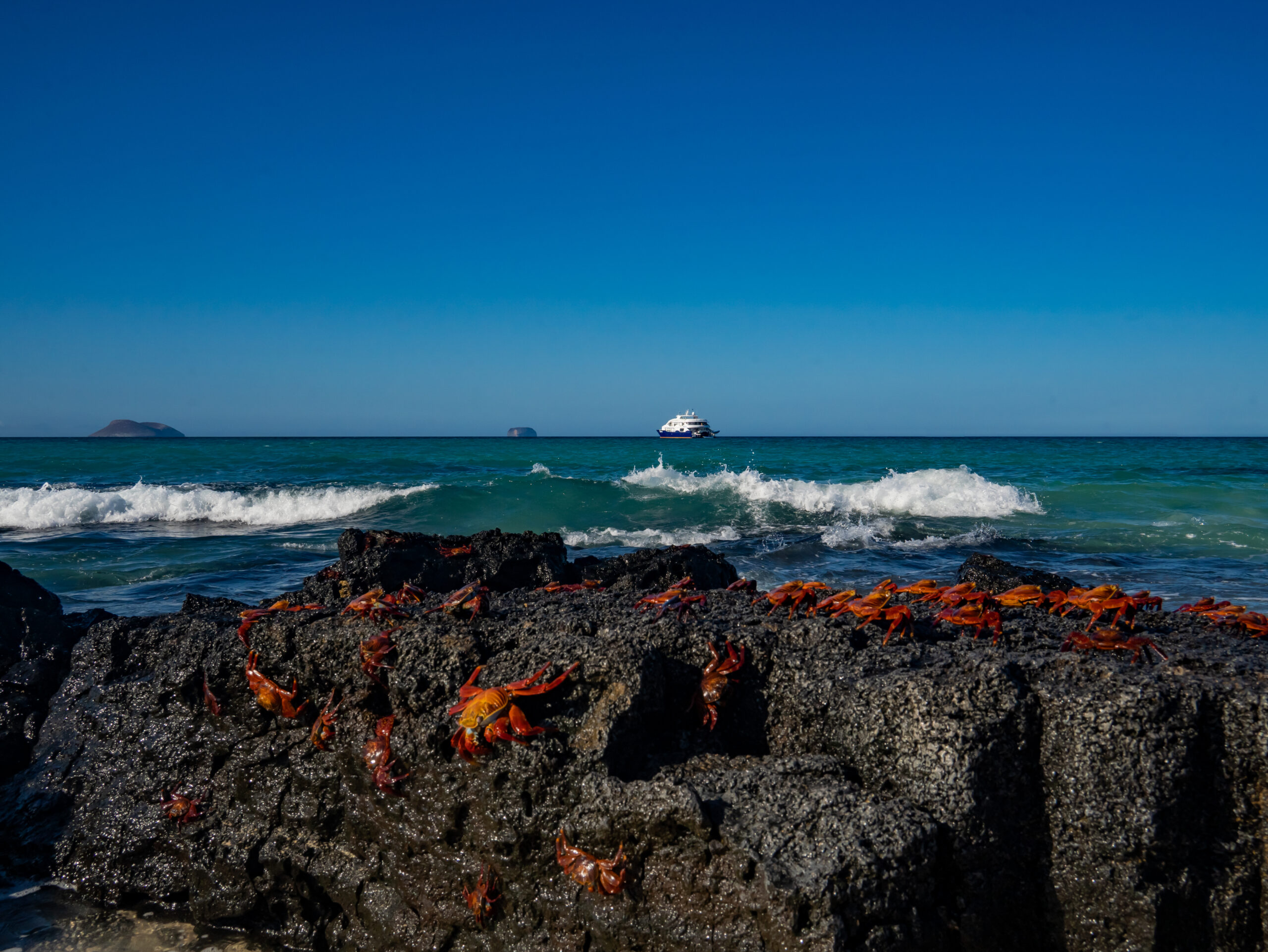 Galápagos 1