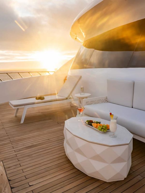 endemic-upper-deck-at-sunset