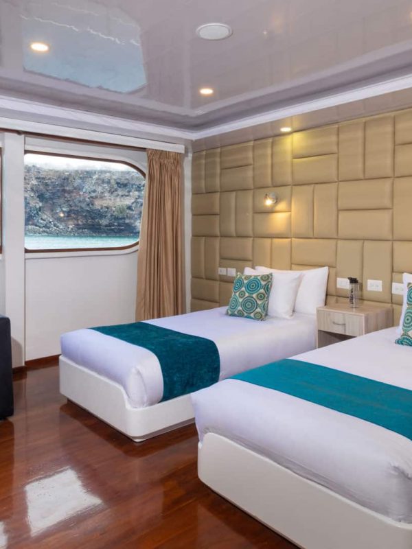golden-petrel-twin-stateroom
