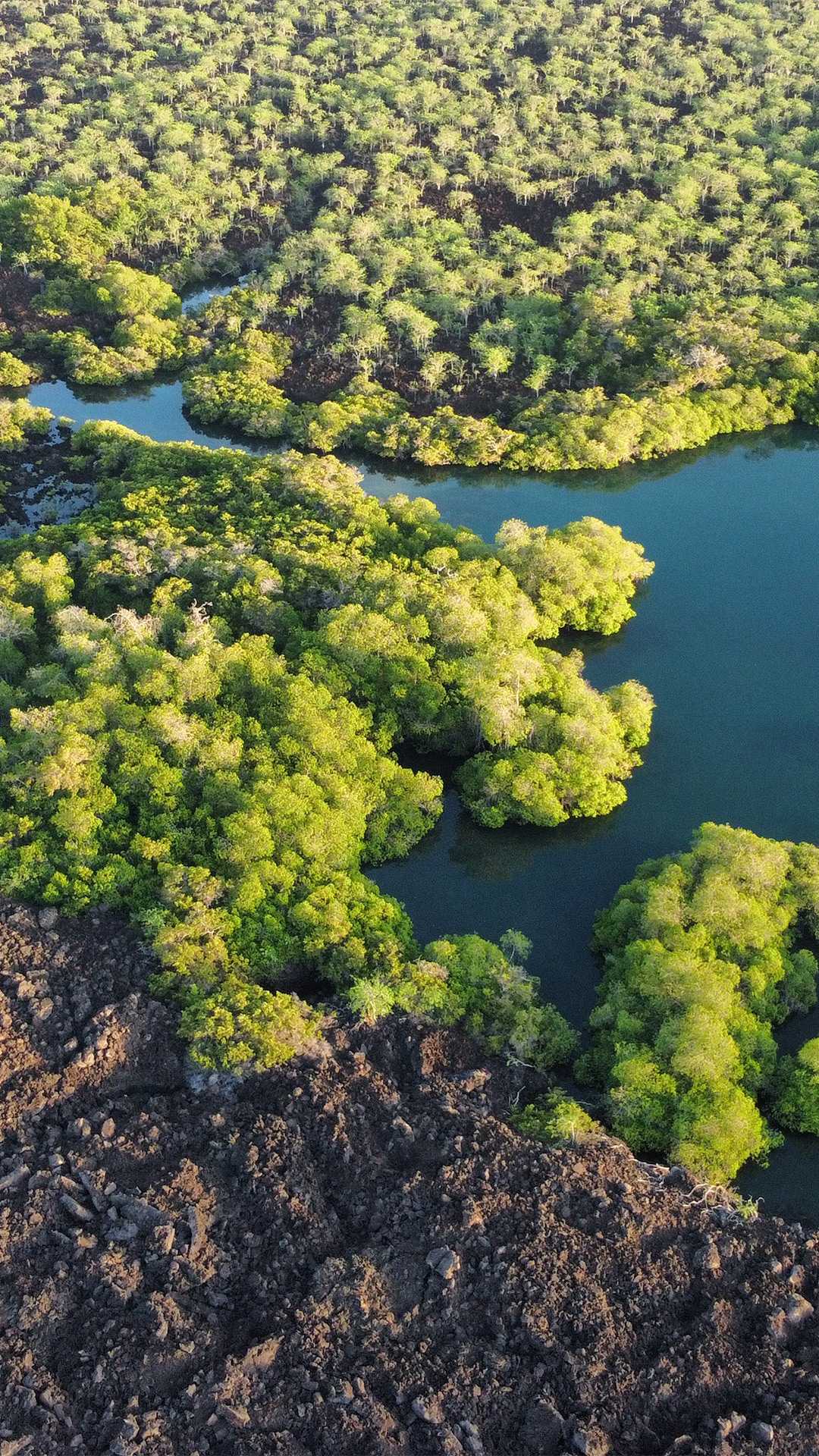 Eminence - Sustainability - Signature Luxury Cruise - Golden Galapagos Cruises