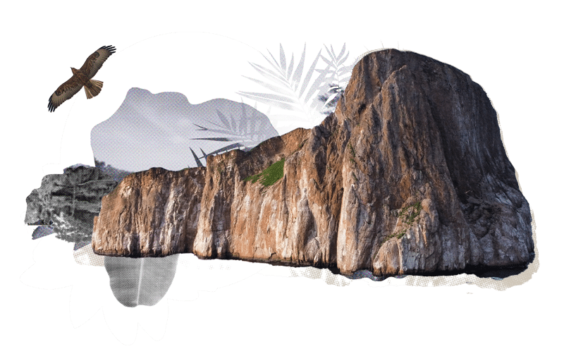 Ilustration - Why travel with Golden Galapagos Cruises - Golden Galapagos Cruises