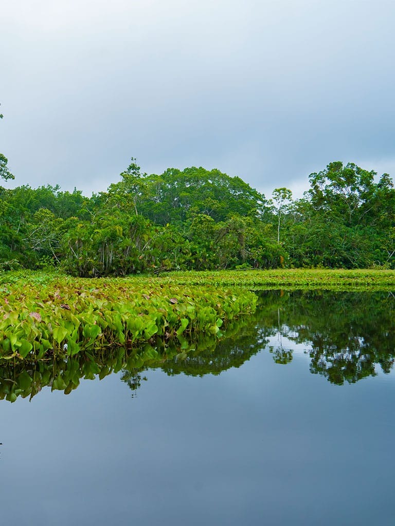 MOTORIZED CANOE - ARRIVAL TO LA SELVA ECO – LODGE & RETREAT - La Selva Lodge