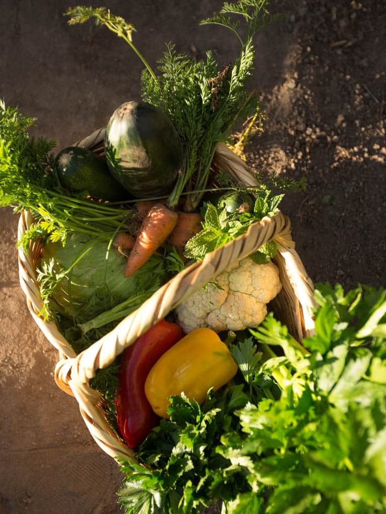 Andes Highlands Hacienda Zuleta - Organic Garden Ingredients - Golden Galapagos Cruises