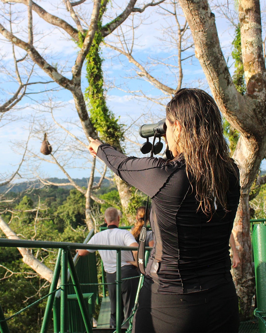 Person observing nature with binoculars - La Selva Eco Lodge