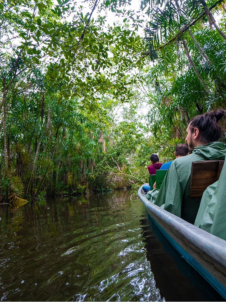 MORETE YAKU - La Selva Lodge - Amazon Rainforest