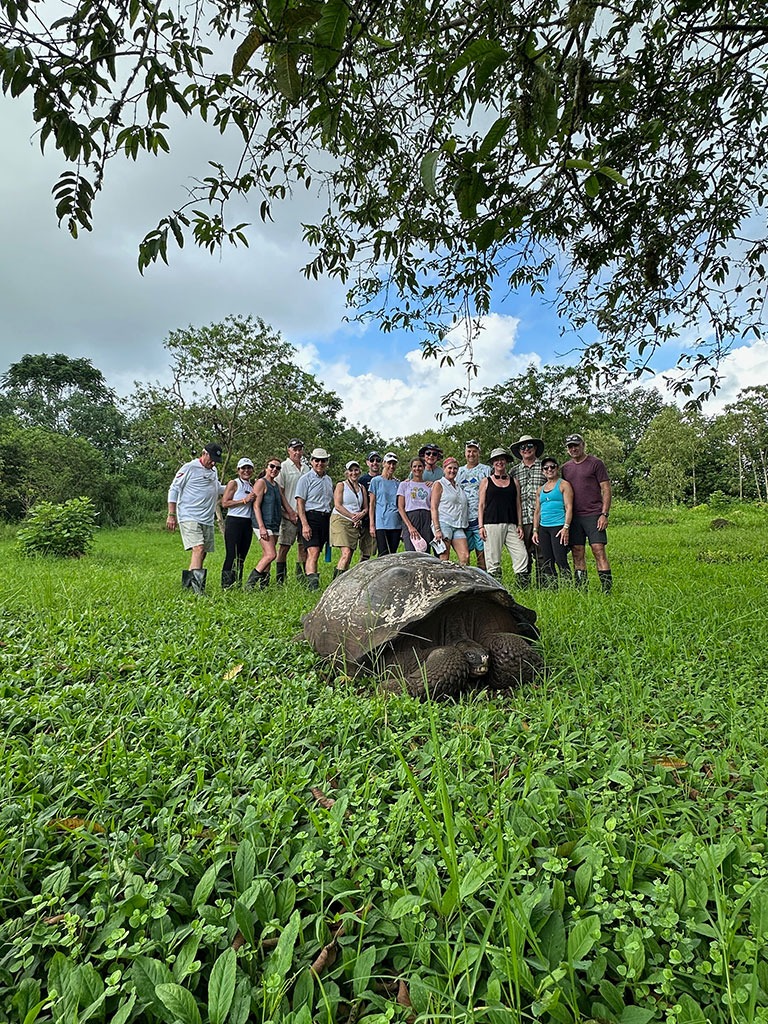 HIGHLANDS - Tortoises Galapagos Islands