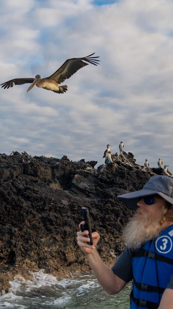 Fall Exclusive Deals - Golden Galapagos Cruises