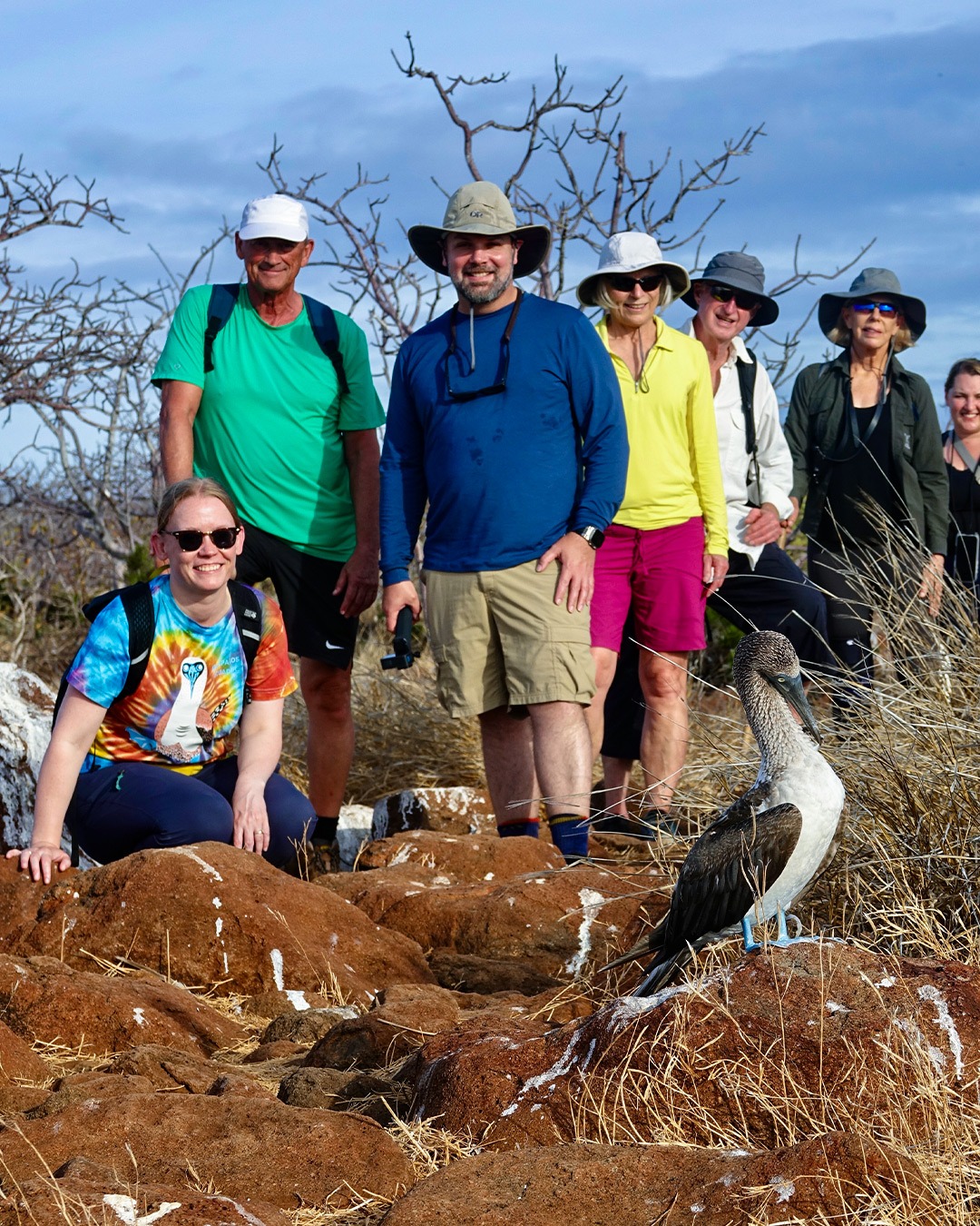 Galapagos Experience With Blue Footed Boobie - Golden Galapagos Cruises