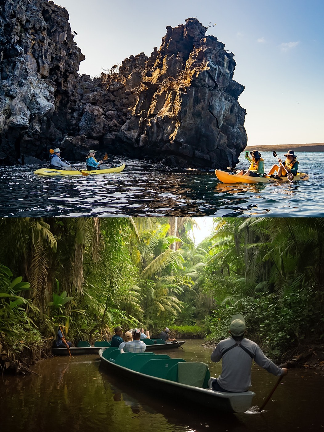 Kayaking in diverse natural landscapes - Galapagos Islands and Amazon Rainforest Excursions - Golden Galapagos Cruises