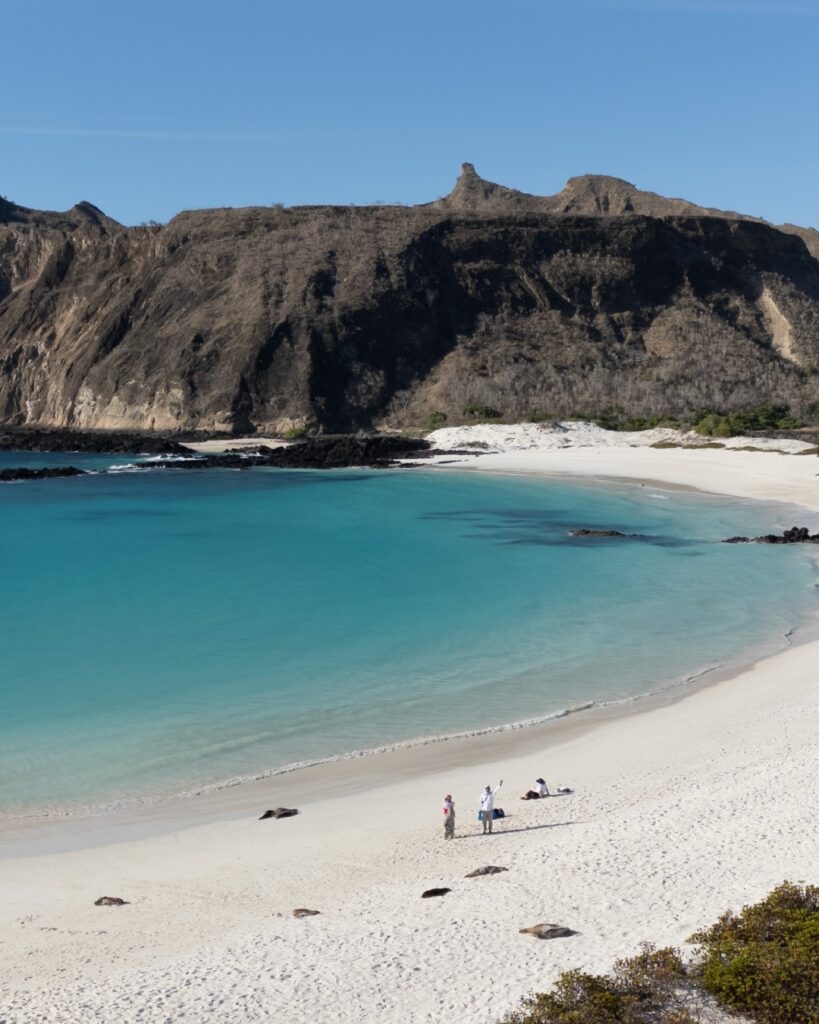 MONIQUE 10% OFF Deals - Golden Galapgos Cruises