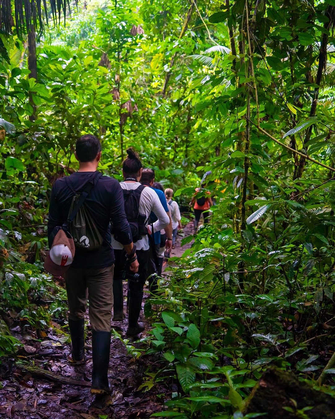Group hiking through lush jungle trail - La Selva Lodge