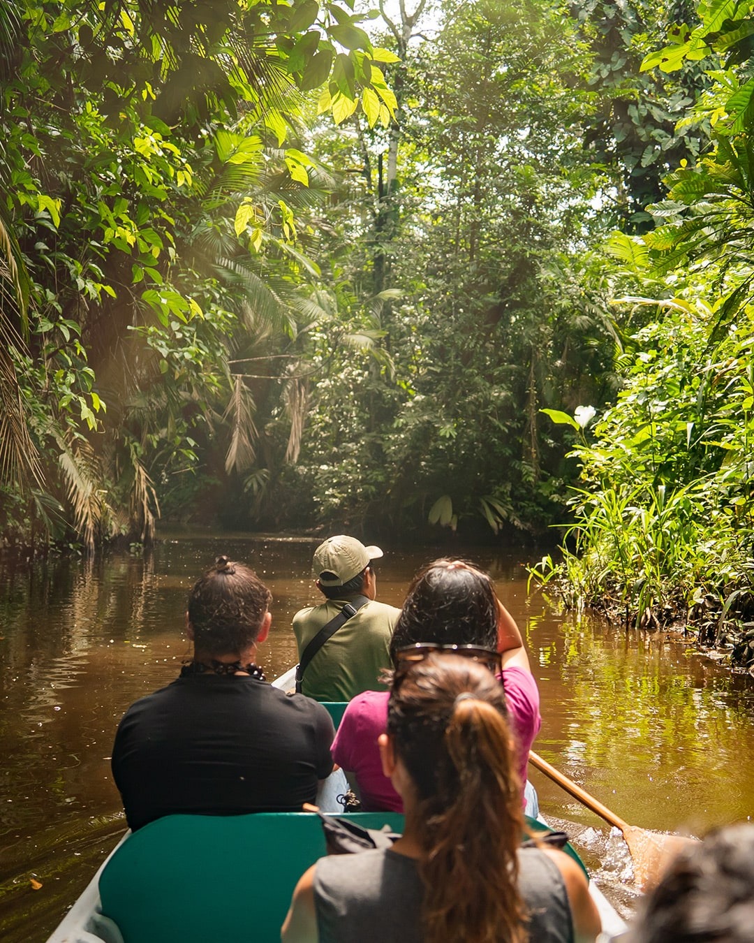 Canoe trip through lush jungle river - La Selva Eco Lodge