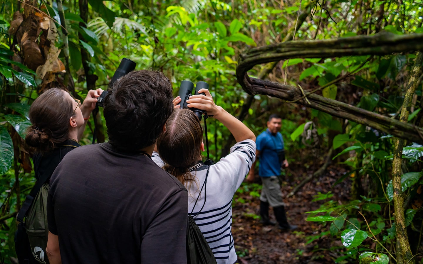 People observing wildlife in amazon rainforest
